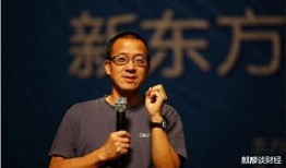 爆料俞敏洪家事视频播放,视频爆料背后的真相与反思