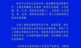 亳州爆料视频曝光最新,最新事件引发社会关注