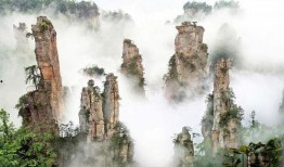 张家界跟团爆料视频大全,热门景点深度解析与真实体验分享