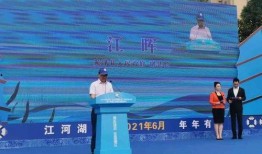 台媒爆料林子闳视频播放,播放量惊人引发热议