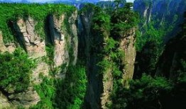 张家界跟团爆料视频大全,热门景点深度解析与真实体验分享