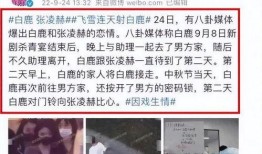 刘大锤爆料张凌赫视频,真相令人震惊