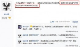 网友自己爆料怎么办呢视频,揭秘事件背后真相