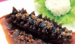 海参厨师爆料视频下载,揭秘海参烹饪秘籍与行业内幕