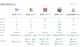 爆料联盟起号流程视频,起号流程全解析