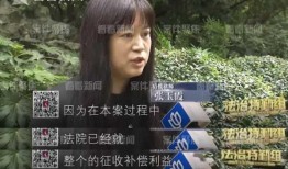 兄弟反目爆料视频播放在线观看,揭秘背后惊人内幕