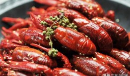 小龙虾探店爆料视频,小龙虾探店视频大揭秘