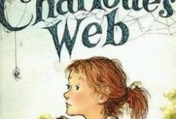 charlotte在线观看,在线观看指南