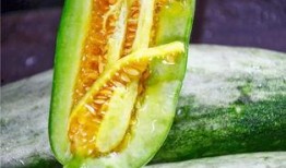 最新吃瓜 网红,揭秘吃瓜界的最新热点人物