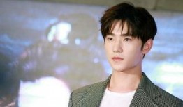 杨洋圈内爆料最新,揭秘明星背后的真实故事