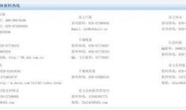 怎么爆料东莞新闻网,揭秘背后真相