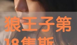 狼王子在线观看18,18岁青春冒险之旅