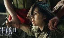 2期在线观看,精彩内容回顾与亮点解析