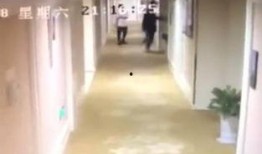 爆料女网红旅馆视频,一场网络风波背后的真相