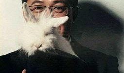 娱乐圈爆料的来源有哪些,揭秘幕后真相与内幕