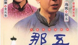 电视剧那五在线观看,穿越时空的传奇冒险之旅