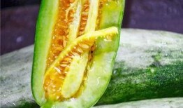 镇平网红吃瓜,揭秘网络红人的幕后生活