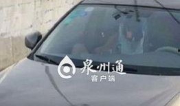 车震大全视频在线观看,在线观看带你领略激情瞬间