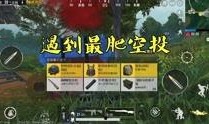 和平精英老师爆料视频,独家爆料视频内容大起底