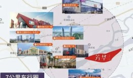 新赛季ss18手册大爆料视频,亮点前瞻与精彩预告