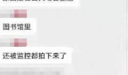 圈内爆料聊天记录张子枫,圈内爆料聊天记录揭秘，青春女神背后的故事