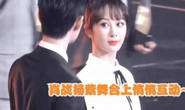 圈内明星爆料肖战杨紫,圈内爆料引热议