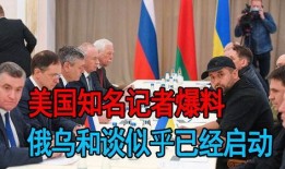 外国新闻记者爆料,外国记者揭露重大新闻内幕！”