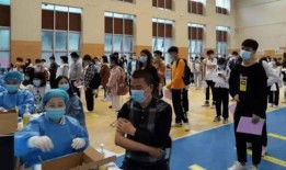 罗利岛最新爆料消息,揭秘神秘事件背后的惊人真相