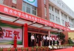 衡水十四中最新爆料,揭秘校园风云背后的真相