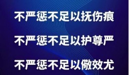 河北陈继志爆料新闻报道,真相与争议并存