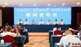 岳阳最新新闻爆料,突发事件引发全城关注！