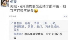 圈内爆料聊天记录张子枫,圈内爆料聊天记录揭秘，青春女神背后的故事