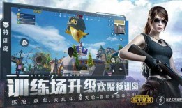 生存派对爆料视频下载安装,揭秘下载安装全过程